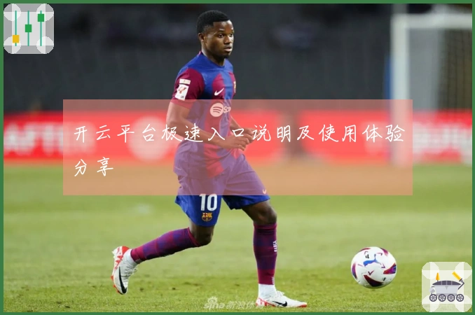 开云平台极速入口说明及使用体验分享