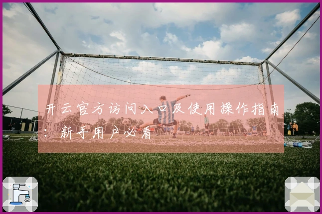 开云官方访问入口及使用操作指南：新手用户必看